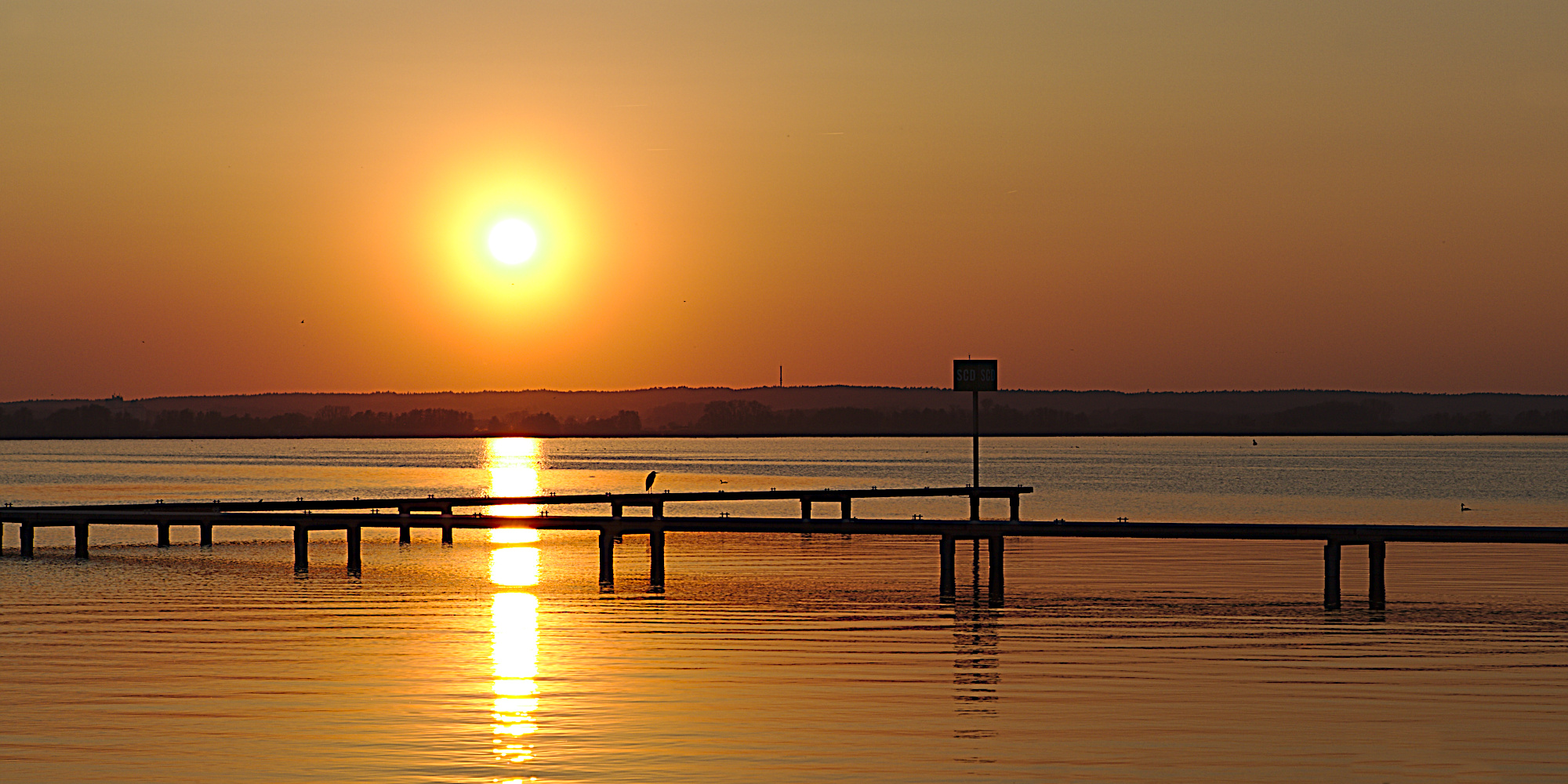 Sonnenuntergang am Dümmer See