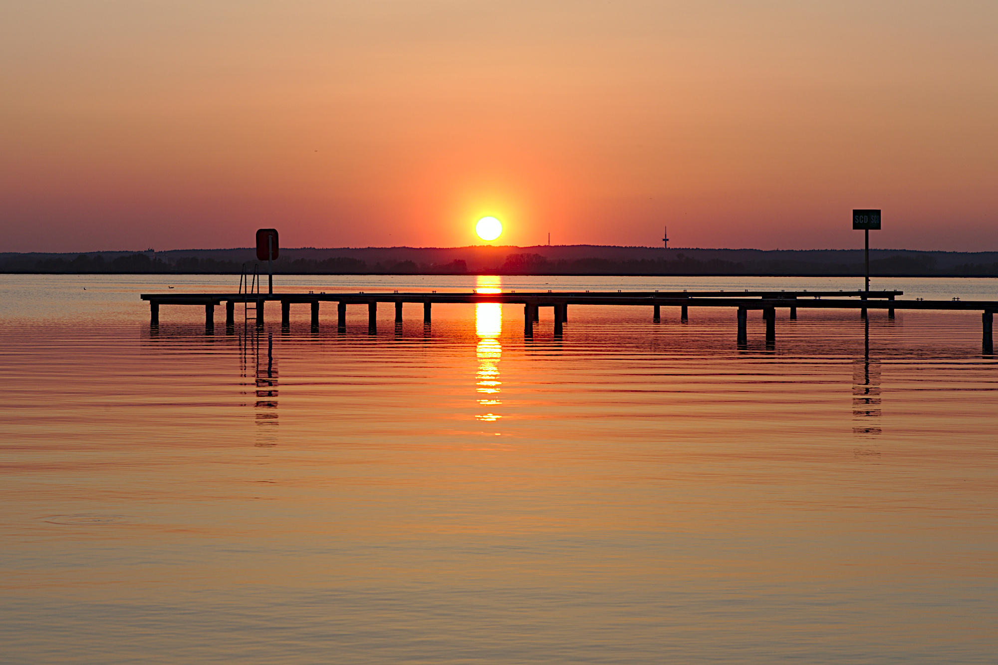 Sonnenuntergang am Dümmer See