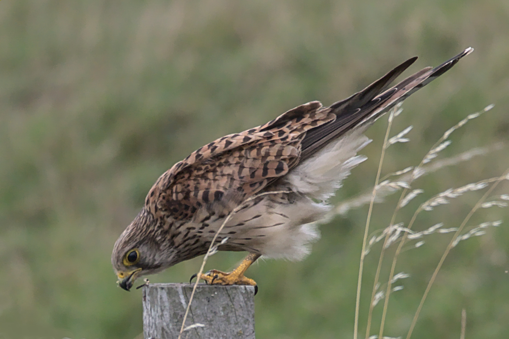 "Was ist denn da unten?"