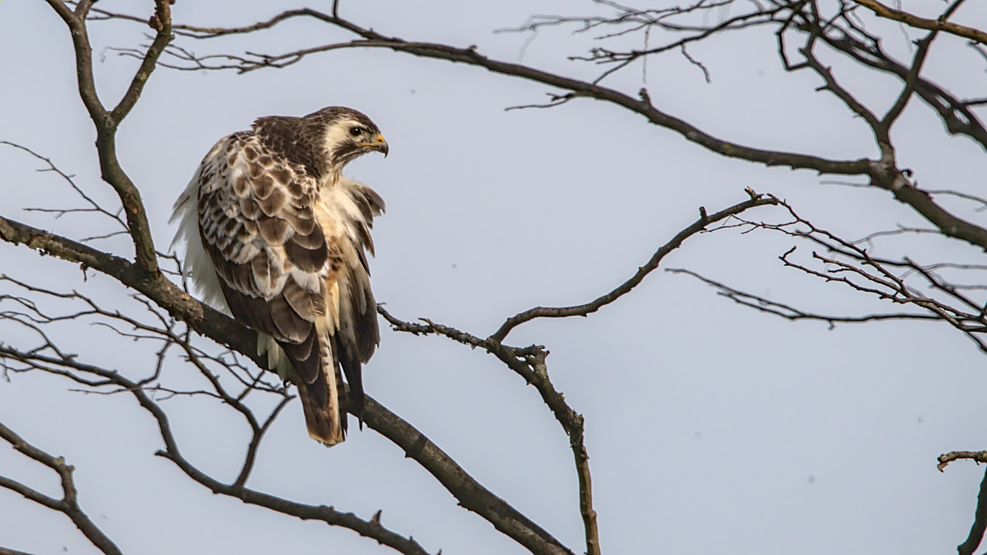 "Wie lange will der mich noch beobachten?"