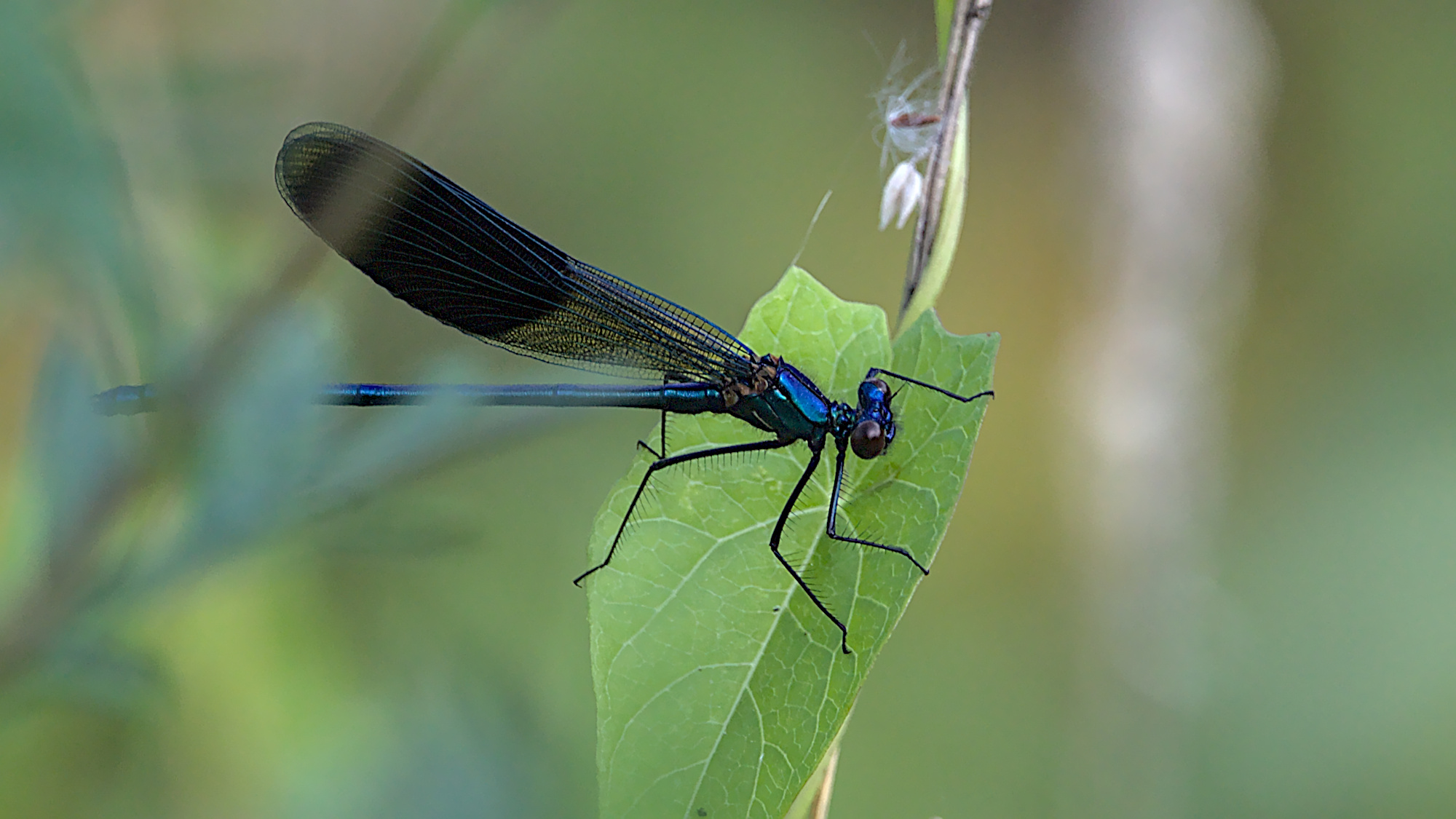 "Nun mach endlich das Foto..."
